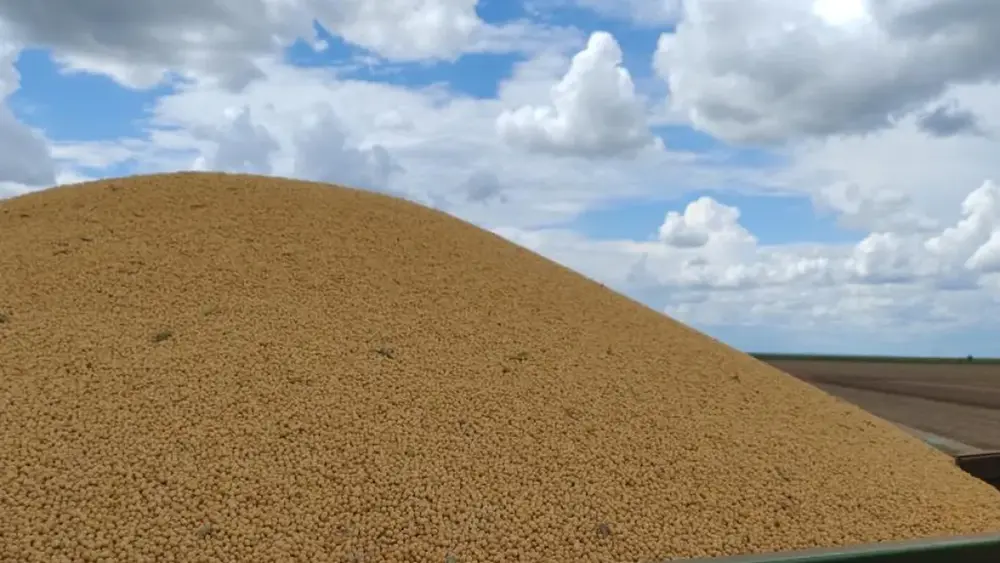 Brazil Corn Harvest Reaches 75% Across 1.6M Hectares in MS