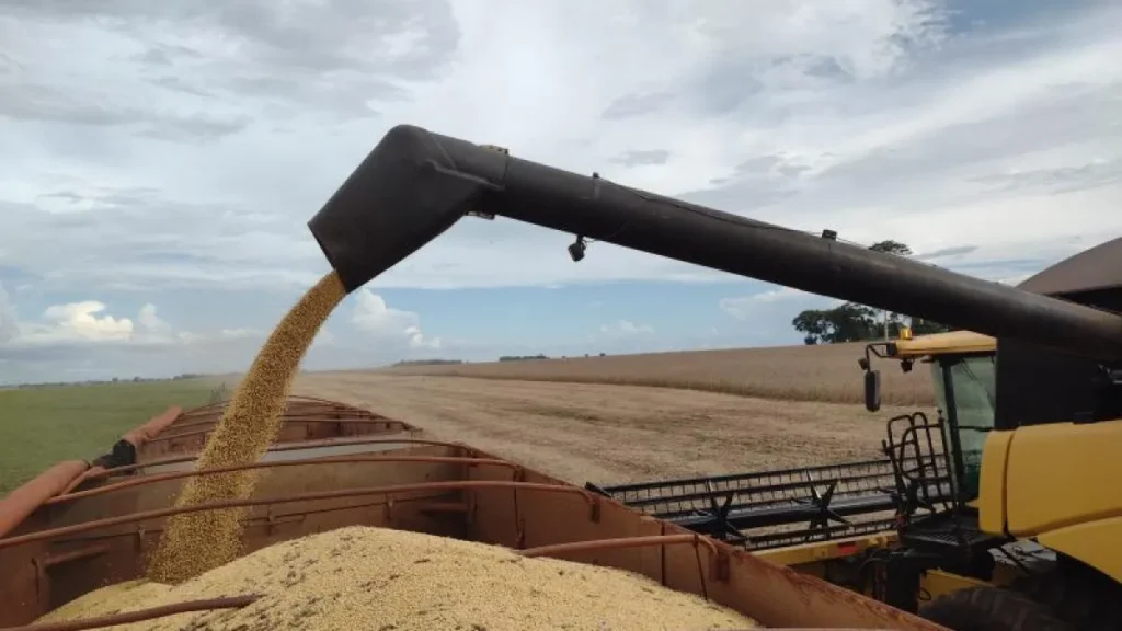Brazil soybean exports soar 41% in MS, generating $385M