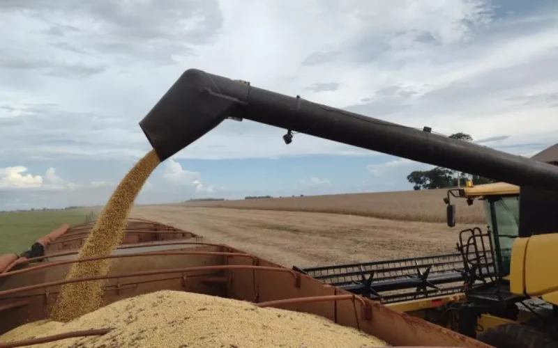 Brazil soybean exports soar 41% in MS, generating $385M