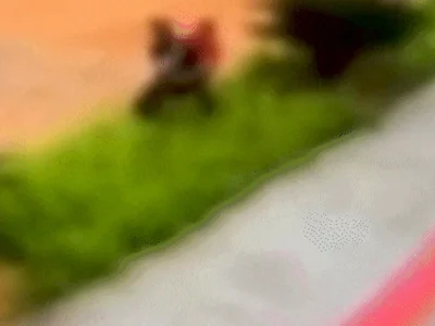 Brazil woman dragged by thief says ‘I feared for my life’