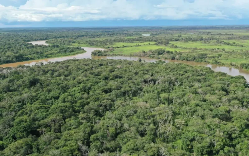 Brazil designates 95% of reserve for jaguar protection