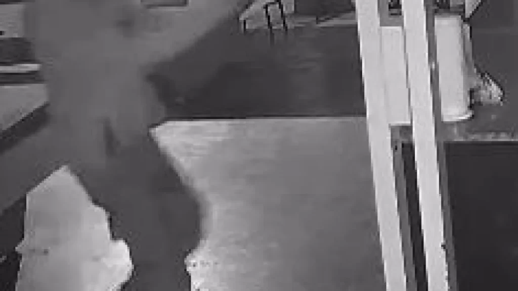 Brazil armed duo invades tobacco shop, shoots 2