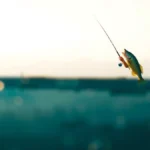 Pesca esportiva no Cerrado: o Araguaia em destaque em Goiás