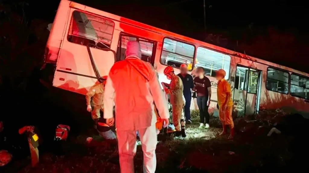 Brazil bus launched off highway after crash with car carrier