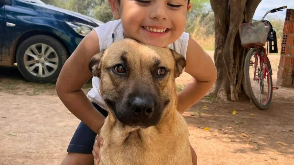 Brazil tutor seeks blood donor for dog attacked by pitbull