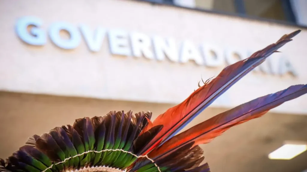 Brazil, with 3rd largest indigenous population, elects only 41 in decade