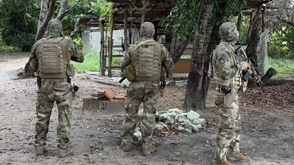 Brazil raids target drug trafficking, money laundering in MS