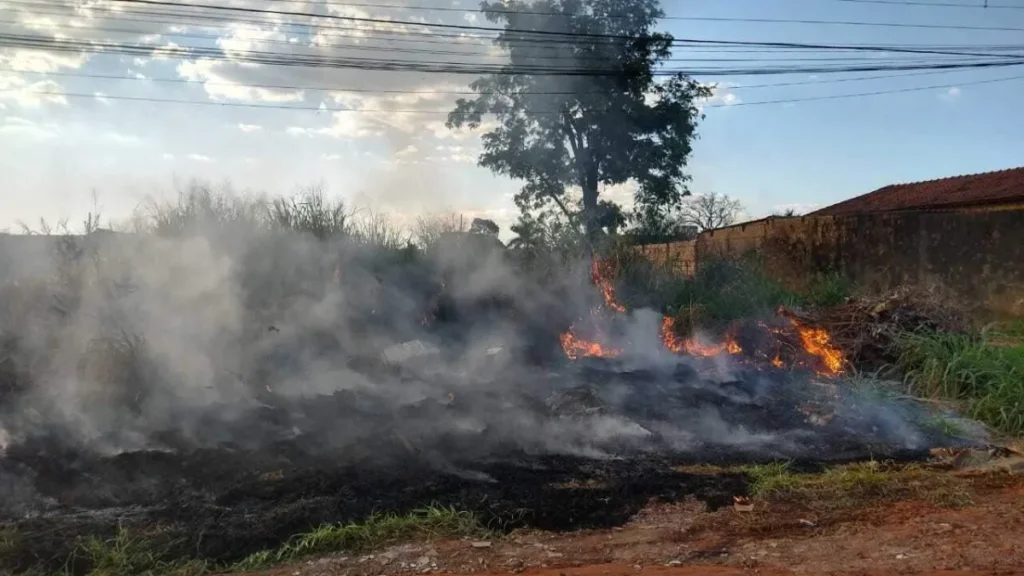 Brazil fines for fires and litter could top $250,000