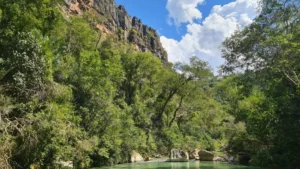 Brazil environmental rollback threatens protected areas in MS
