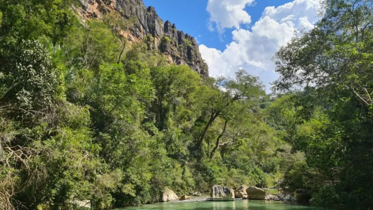 Brazil environmental rollback threatens protected areas in MS