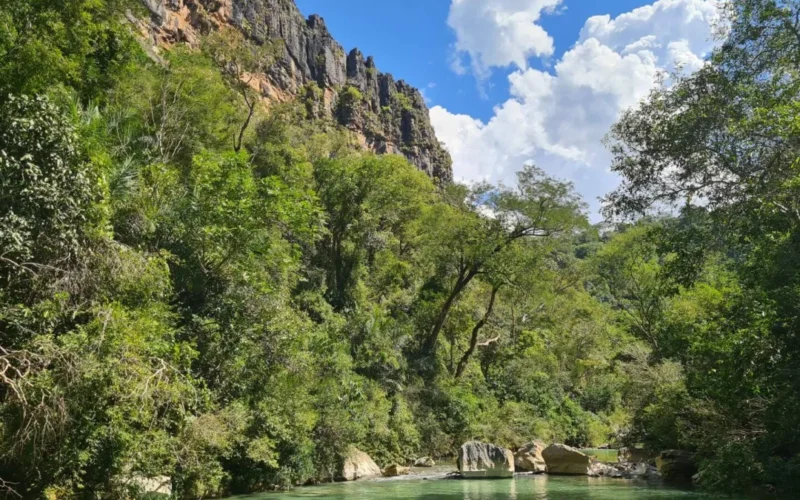 Brazil environmental rollback threatens protected areas in MS