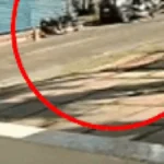 Brazil Bricklayer Offers Reward for Stolen Motorcycle