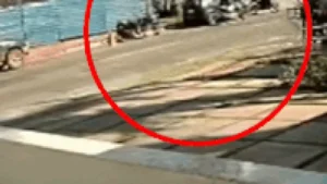 Brazil Bricklayer Offers Reward for Stolen Motorcycle