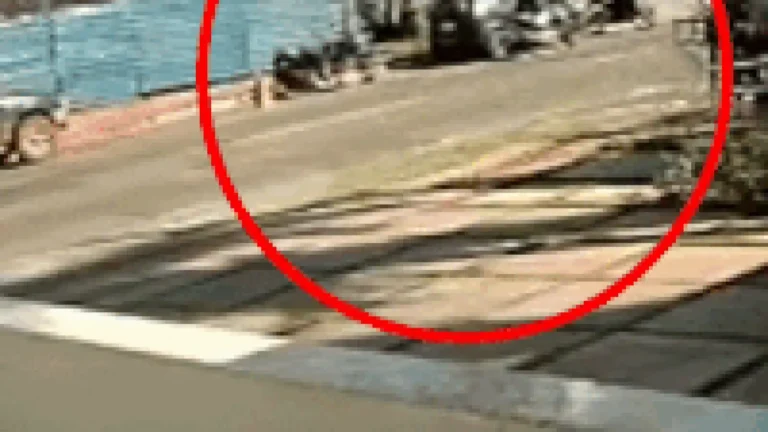 Brazil Bricklayer Offers Reward for Stolen Motorcycle