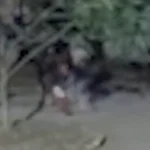 Brazil man stabbed by duo on street, in critical condition
