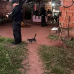 Brazil police helicopter raid targets bus station execution suspects