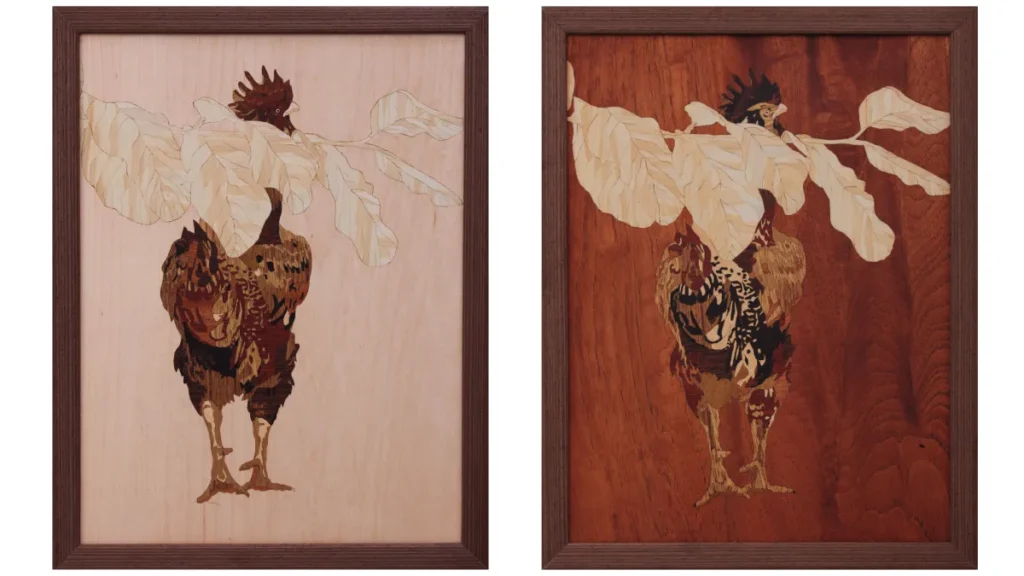 Brazil collective exhibition explores memory, land and environment
