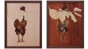 Brazil collective exhibition explores memory, land and environment