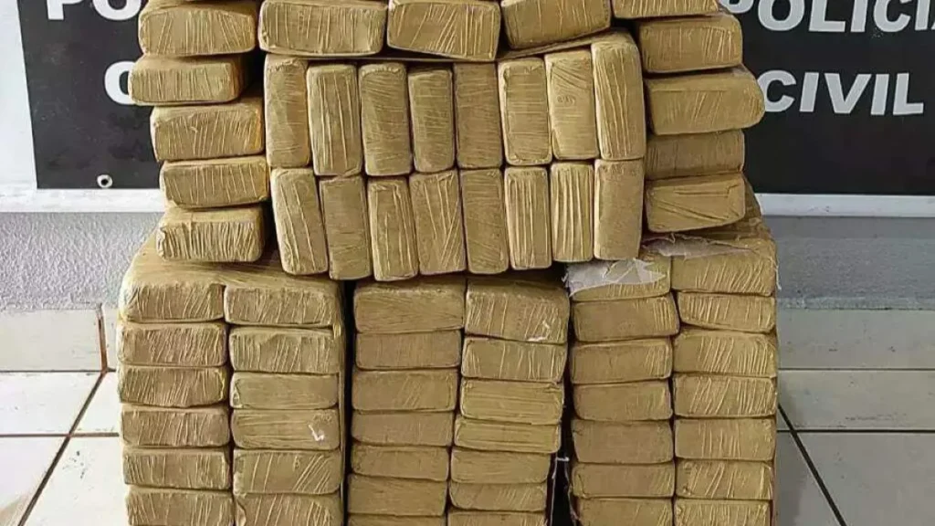 Brazil arrests teen with 394 kilos of pot destined for capital