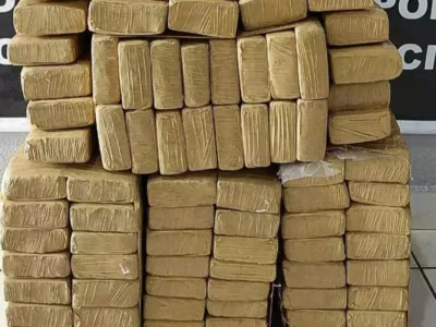 Brazil arrests teen with 394 kilos of pot destined for capital