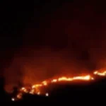 Brazil Wildfire on BR-060 Spreads to Army Land, 50 Troops Deployed