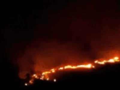 Brazil Wildfire on BR-060 Spreads to Army Land, 50 Troops Deployed