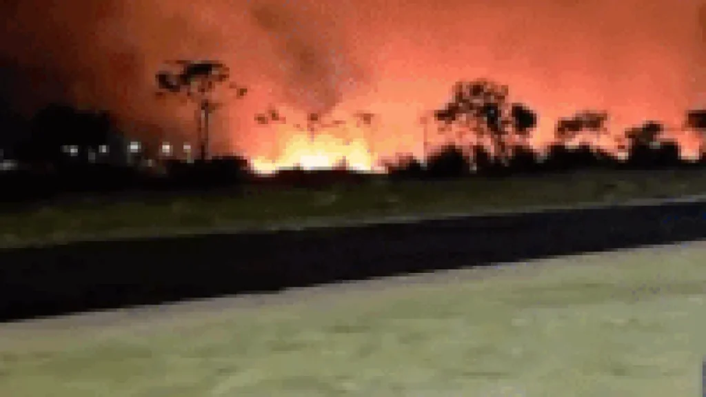 Brazil Wildfire Flames Surge Toward Forest in Chapadao do Sul