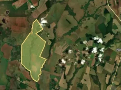 Brazil court convicts businessman over illegal Amazon hydro plant