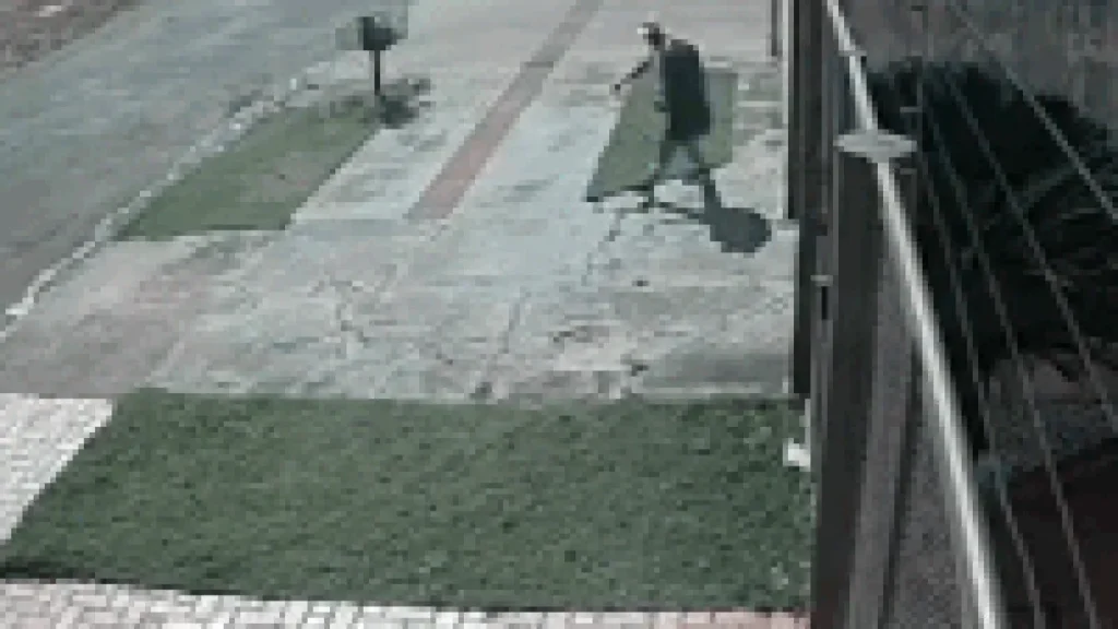 Brazil Thief Walks Out of Home Carrying TV in Vila Ipiranga