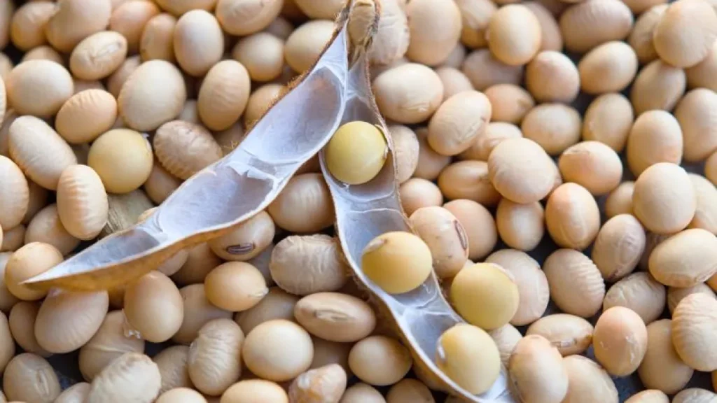 Brazil Soy Prices Jump $3 in Year as Corn Stays Flat