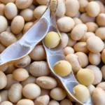 Brazil Soy Prices Jump $3 in Year as Corn Stays Flat