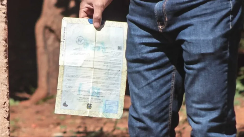 Brazil sees child born without father’s name every 2 hours in MS