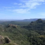 Brazil deforestation drops 65% in Pantanal, 11.5% in Cerrado