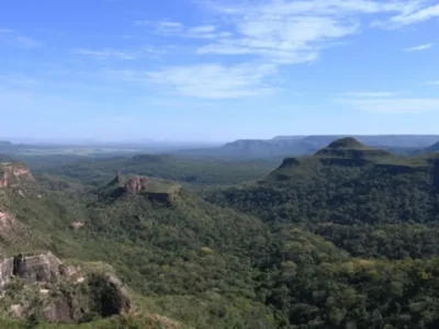 Brazil deforestation drops 65% in Pantanal, 11.5% in Cerrado