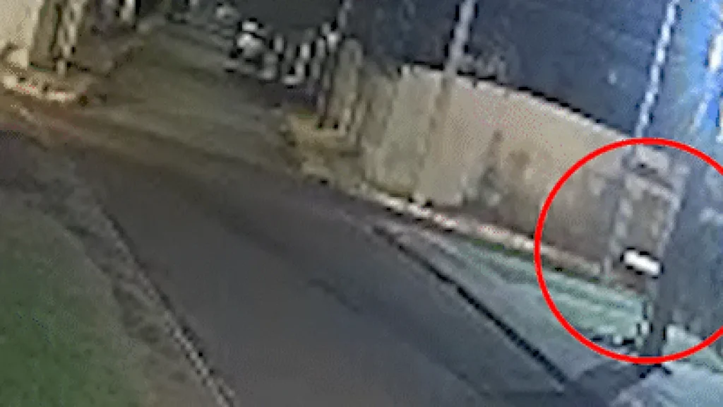 Brazil pedestrian killed in overnight crash in Monte Castelo