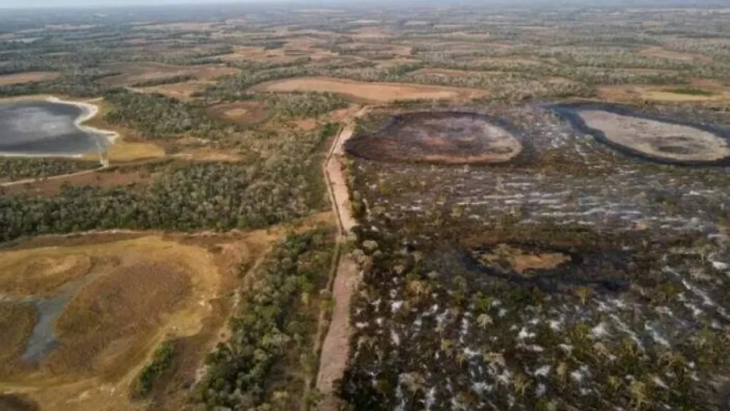 Brazil Opens Consultation for New Pantanal Nature Park in Ladário