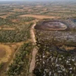 Brazil Opens Consultation for New Pantanal Nature Park in Ladário