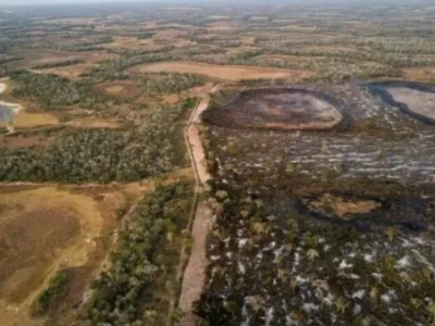 Brazil Opens Consultation for New Pantanal Nature Park in Ladário
