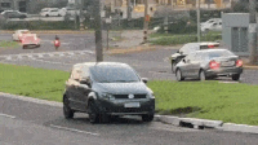 Brazil Driver Parks on Median Strip, Goes Viral