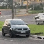 Brazil Driver Parks on Median Strip, Goes Viral